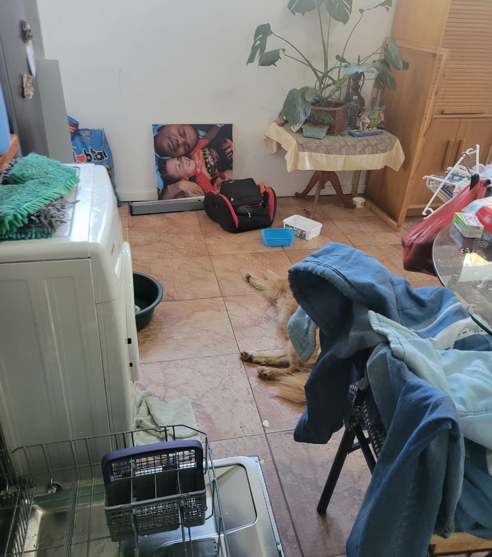 Residential Cleaning Service whatsapp image 2025 09 14 at 11.02.26 (2)