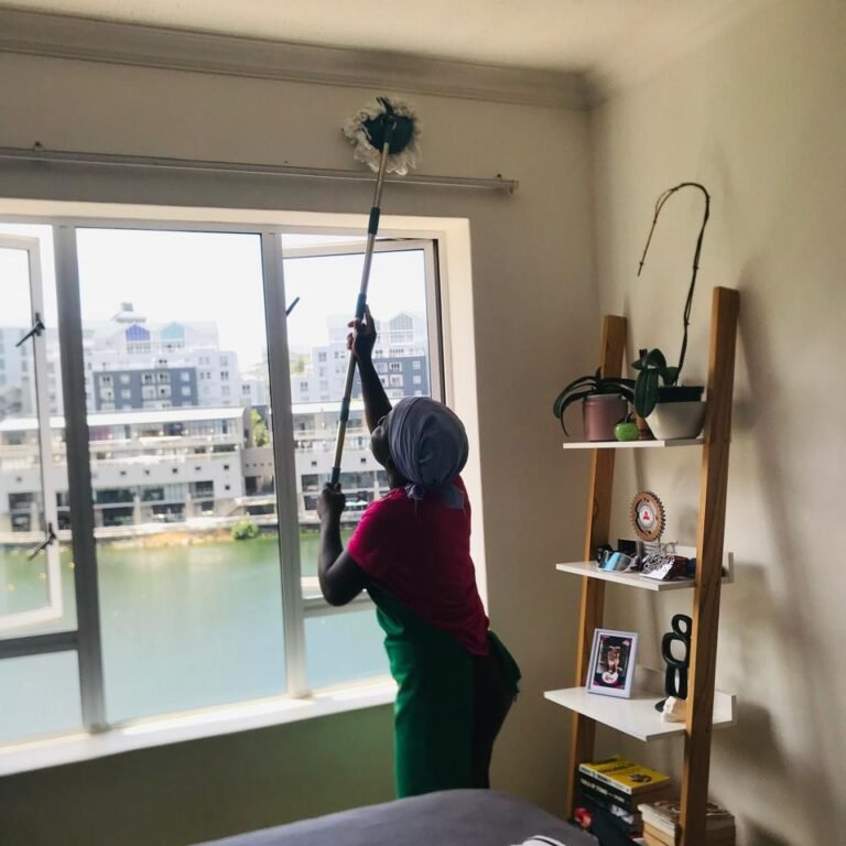 cleaning services cape town