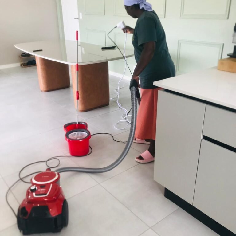 move-in cleaning service camps bay